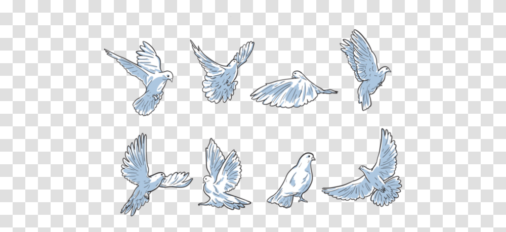 Dibujo Animado De Paloma, Bird, Animal, Flying, Pigeon Transparent Png