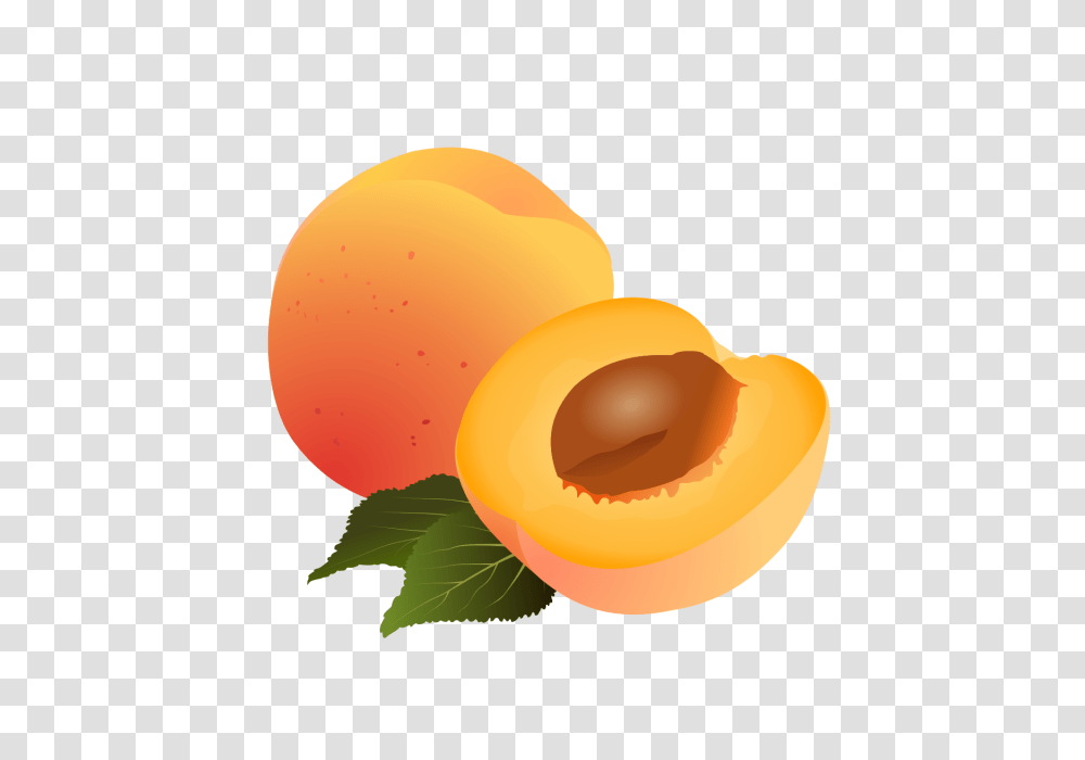 Dibujo De Frutas Clipart Albaricoque Logo De Exquisita Fruta, Plant, Produce, Food, Apricot Transparent Png