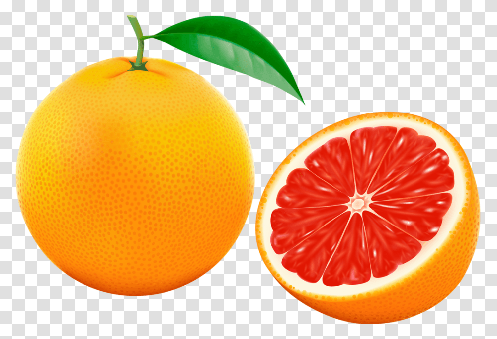 Dibujo De La Fruta Pomelo, Citrus Fruit, Plant, Food, Grapefruit Transparent Png