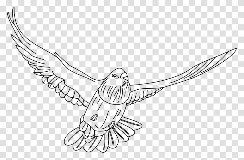 Dibujo De Una Paloma De La Paz, Bird, Animal, Flying Transparent Png