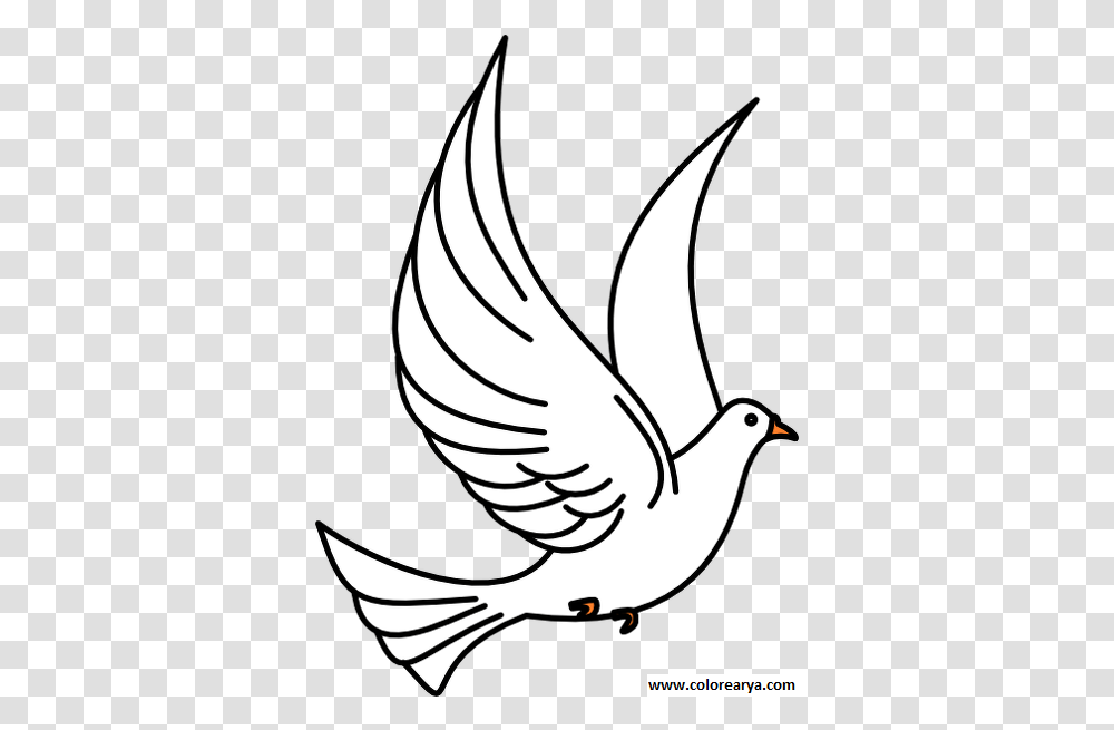 Dibujo Paloma 7 Image Birds Clipart Black And White, Animal, Dove, Pigeon, Eagle Transparent Png