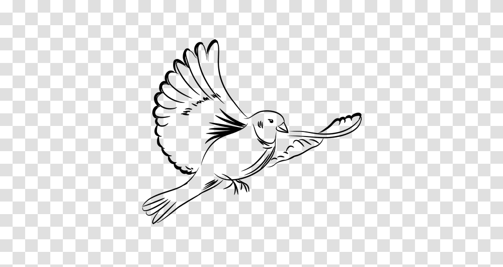Dibujo Paloma Image, Bird, Animal, Beak Transparent Png