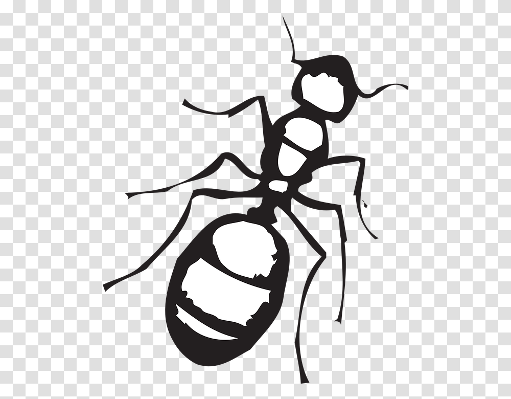 Dibujos Animados De Hormigas Ant Clipart Black And White, Animal, Invertebrate, Insect, Stencil Transparent Png