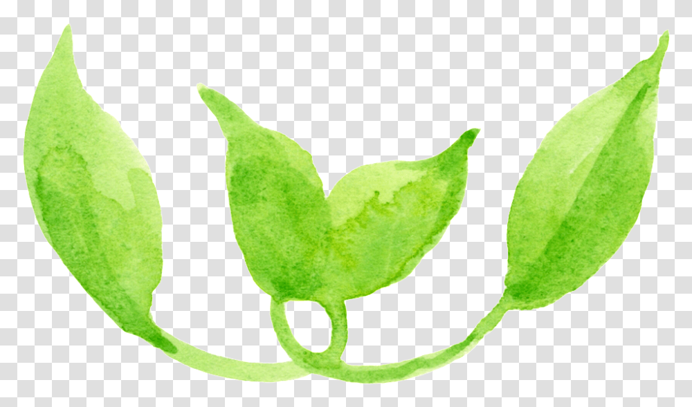 Dibujos Animados De Transparente Hoja De Serpentina Maple, Leaf, Plant, Peel, Bird Transparent Png