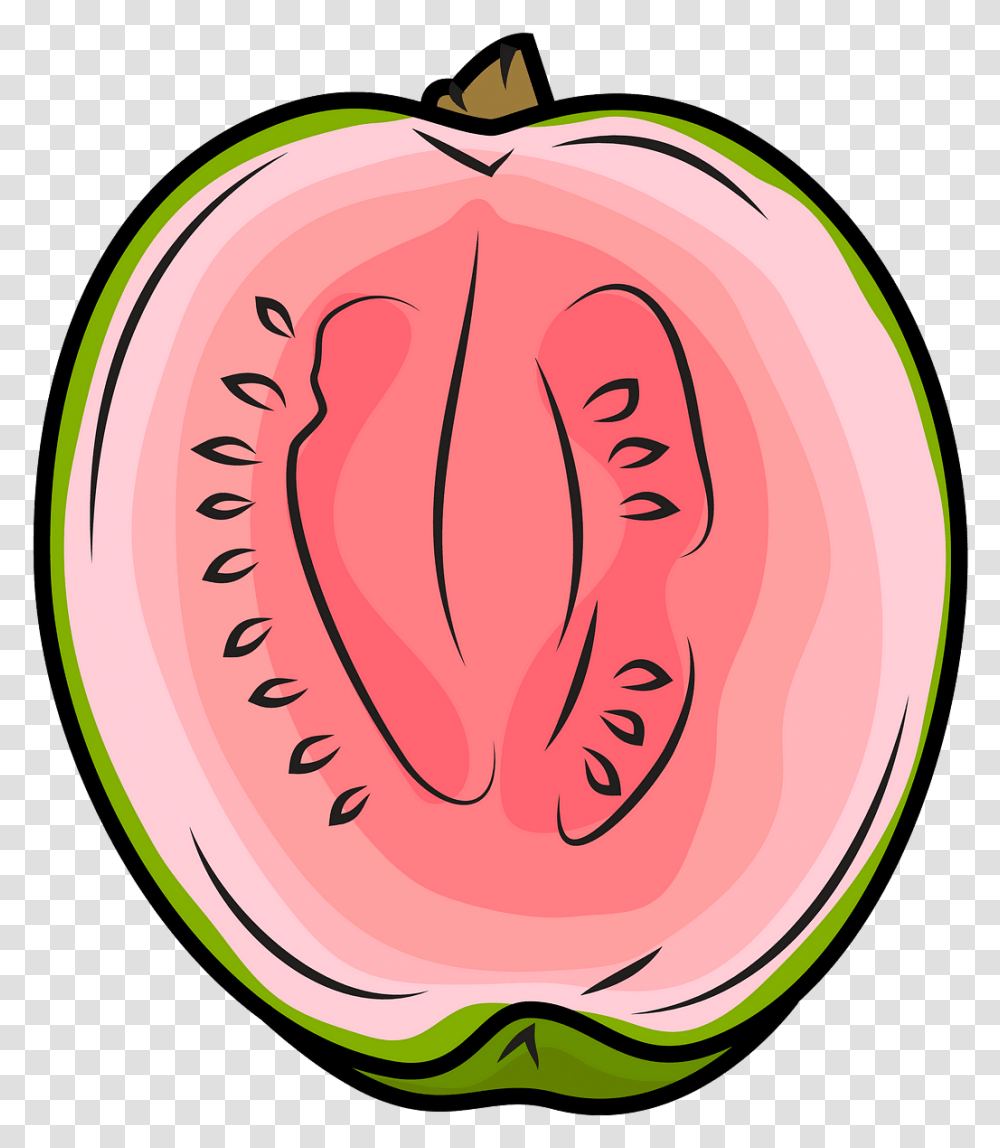 Dibujos De La Guayaba, Plant, Food, Fruit, Watermelon Transparent Png