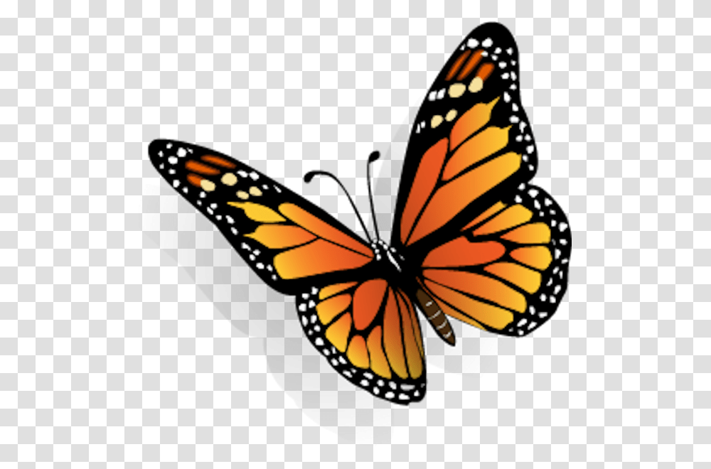 Dibujos De Mariposas En 3d, Monarch, Butterfly, Insect, Invertebrate Transparent Png
