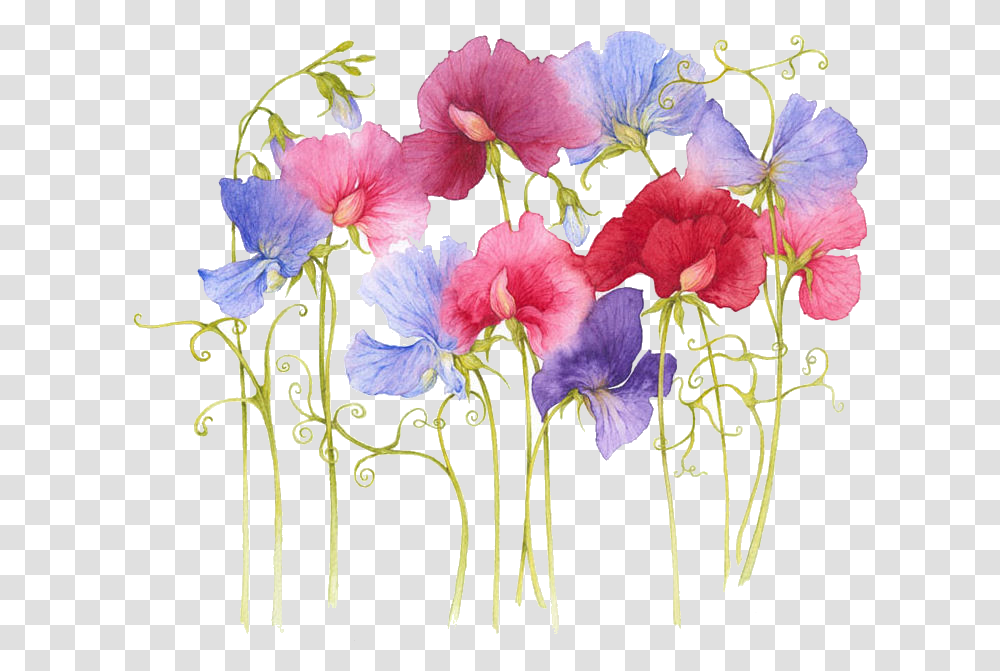 Dibujos Para Transferir En Madera De Flores, Plant, Flower, Blossom, Geranium Transparent Png