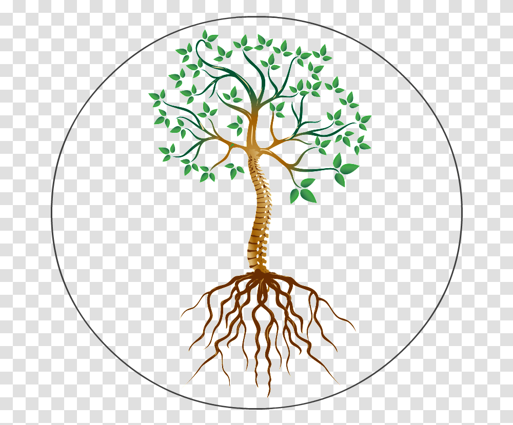 Dick Skelton The Root Root Cause, Plant, Cross, Tree Transparent Png