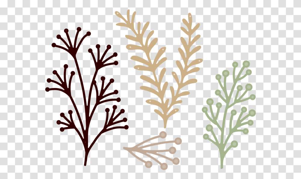 Die, Plant, Flower, Blossom, Acanthaceae Transparent Png