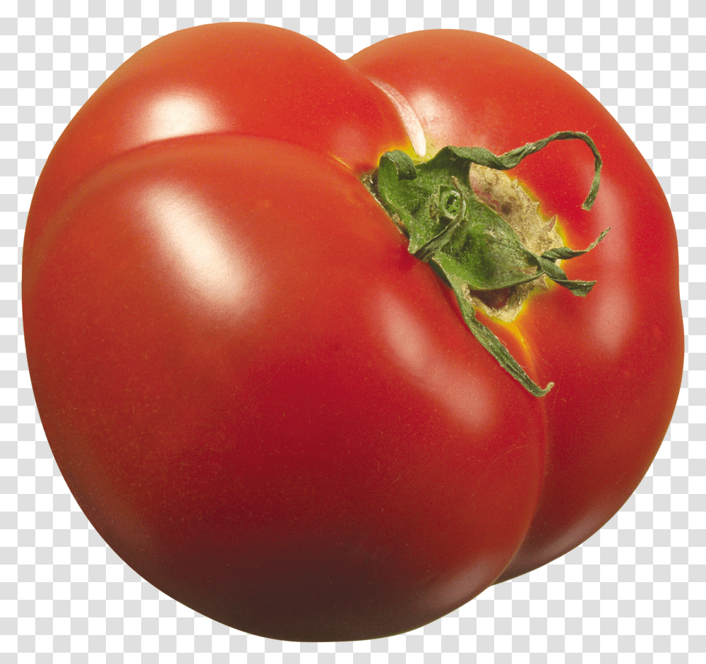 Die Tomate, Plant, Vegetable, Food, Tomato Transparent Png