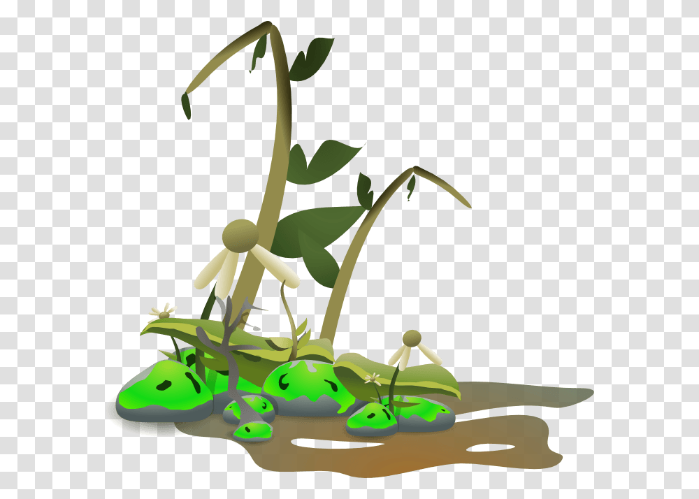 Died Cliparts, Plant, Animal, Reptile, Flower Transparent Png