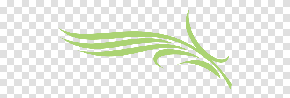Diera Palm Logo Download Palm, Snake, Reptile, Animal, Plant Transparent Png