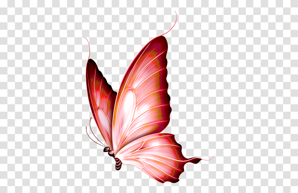 Dieren Painting Butterfly Painting, Pattern, Ornament, Graphics, Art Transparent Png