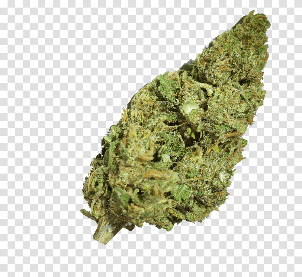 Diesel Cbd Strain, Plant, Weed, Mineral, Pineapple Transparent Png