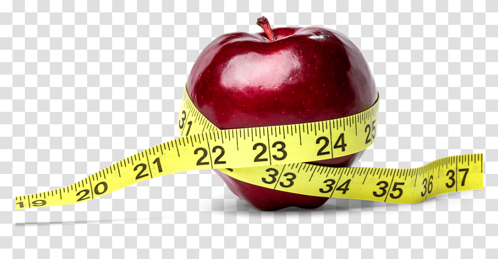 Diet Affects Your Mental Health Mcintosh, Plot, Plant, Diagram, Fruit Transparent Png
