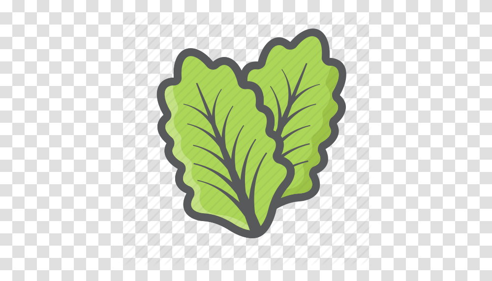 Diet Food Leaf Lettuce Salad Vegetable Vegetarian Icon, Plant, Kale, Cabbage, Pineapple Transparent Png