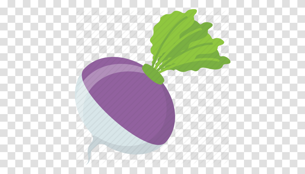 Diet Food Natural Diet Root Vegetable Turnip Vegetable Icon, Plant, Produce, Balloon, Rutabaga Transparent Png