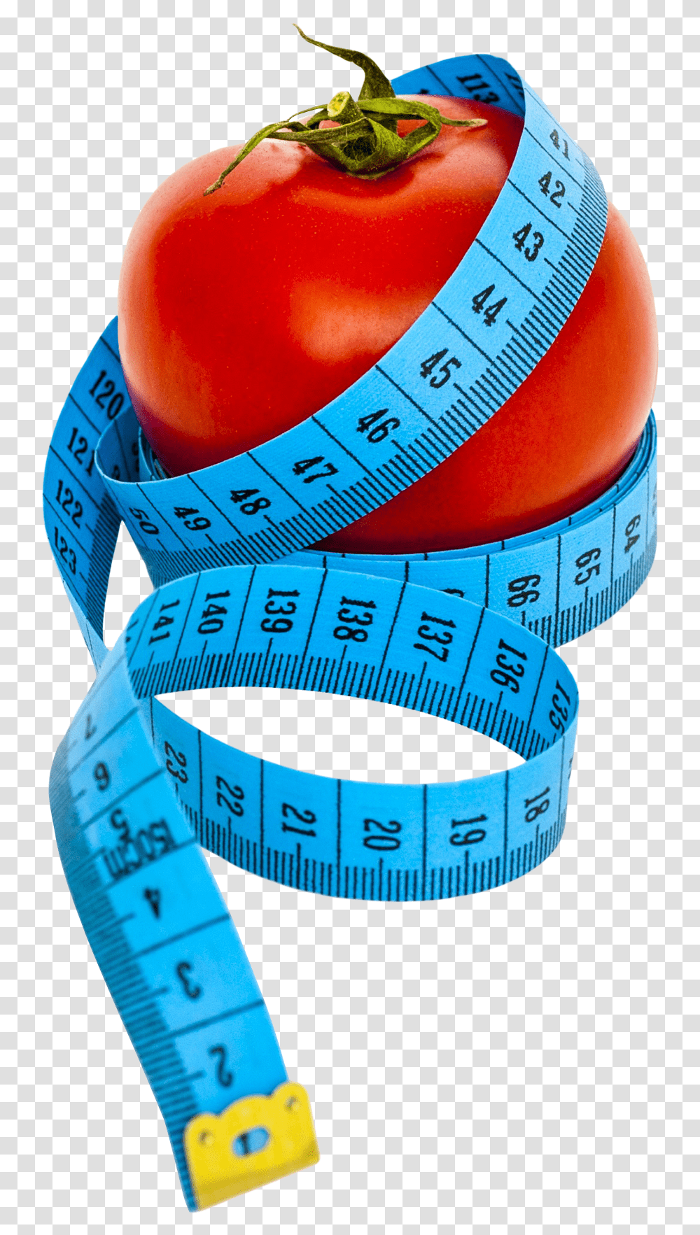 Diet, Plot, Diagram, Measurements, Dynamite Transparent Png