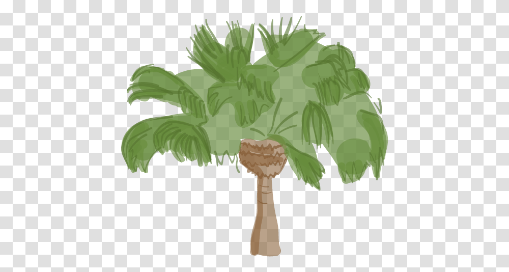 Difference Between King And Queen Palm Trees, Plant, Arecaceae, Leaf, Green Transparent Png
