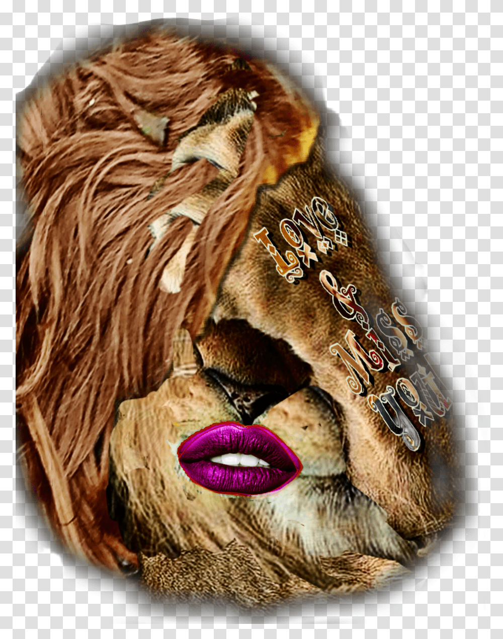 Different Chewbacca Sticker By Betz Hair Design, Lion, Wildlife, Mammal, Animal Transparent Png