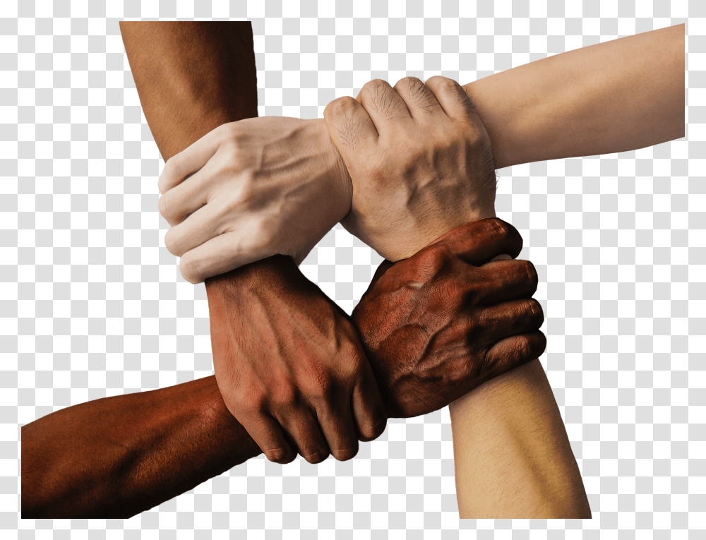 Different Culture Hands, Finger, Person, Human, Wrist Transparent Png