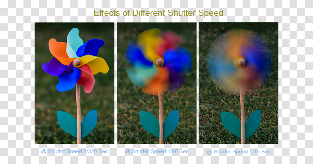 Different Shutter Speeds, Poster, Advertisement, Collage, Plant Transparent Png