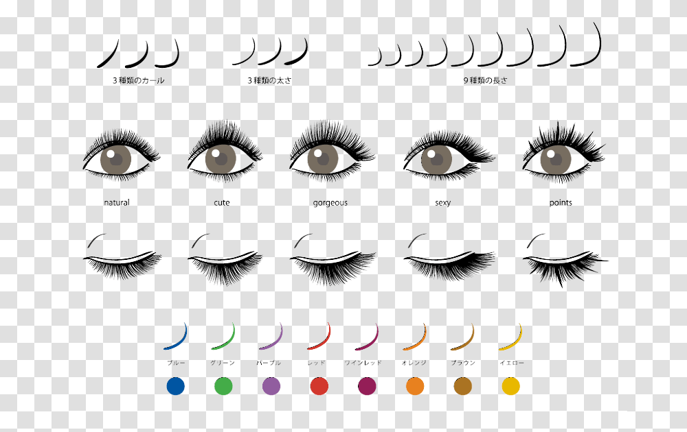 Different Types Of Eyelash Extension Looks, Label, Mustache, Teeth Transparent Png