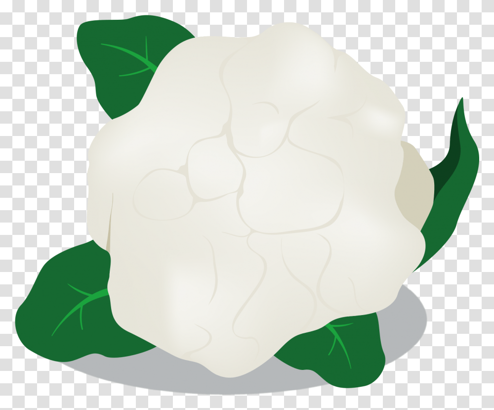 Different Vegetables Tortoise, Plant, Food, Cauliflower, Dough Transparent Png