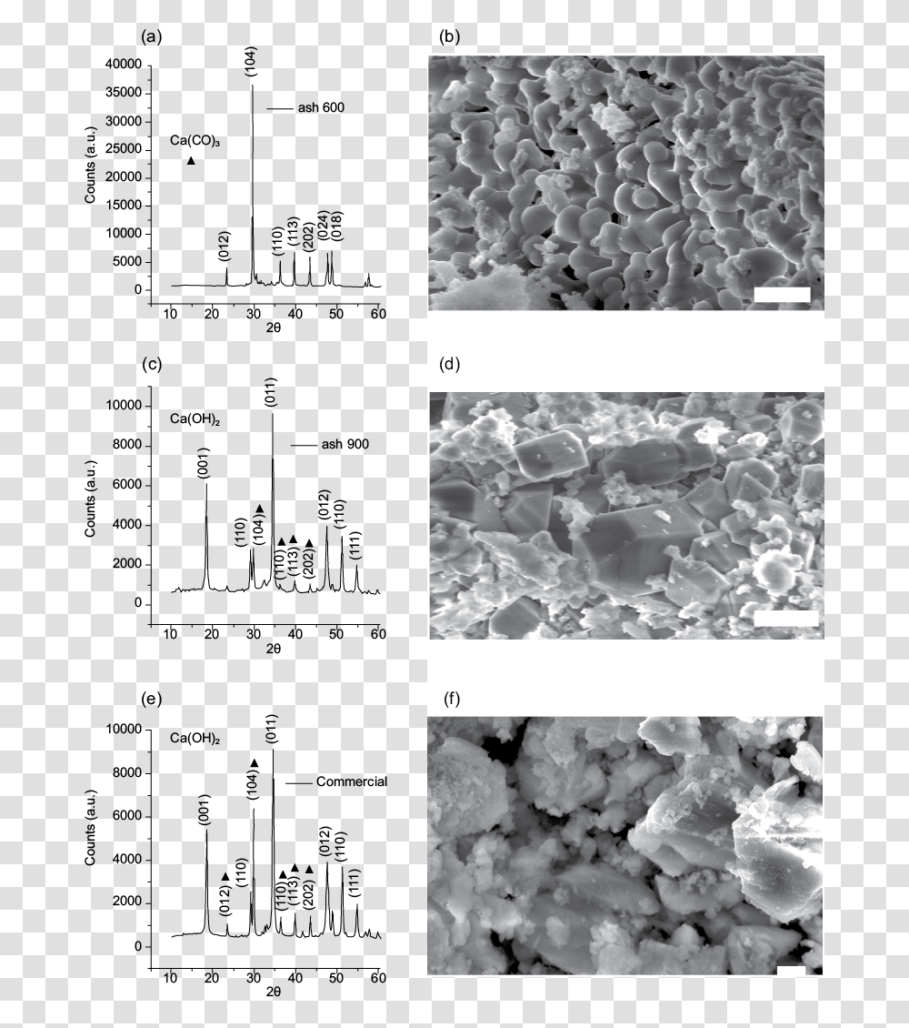 Diffractogram Patterns Of The Samples And Scanning Monochrome, Menu, Foam, Plot Transparent Png