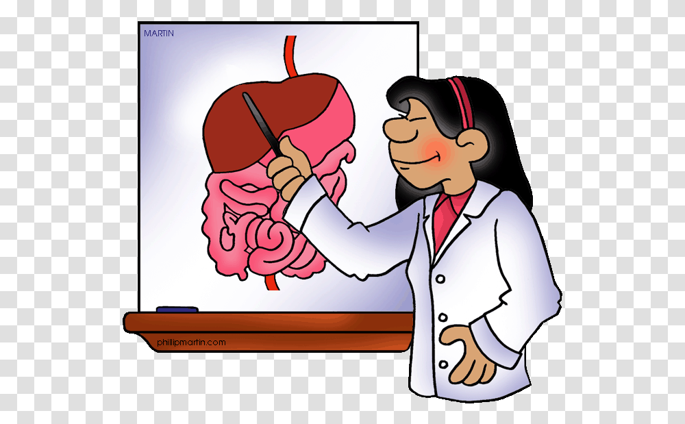 Digestive Clipart Digestive System Clip Art, Person, Human, Lab Coat Transparent Png