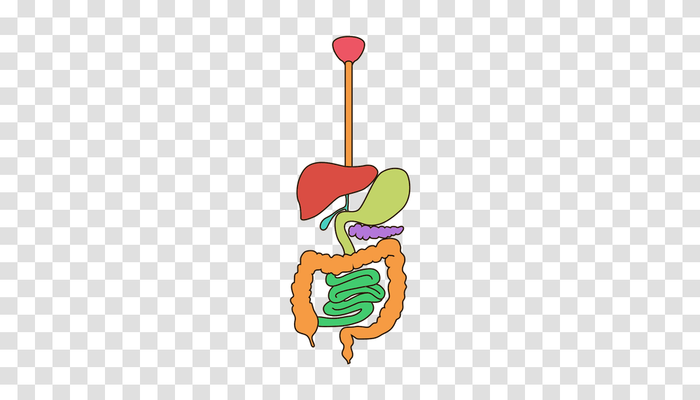 Digestive System Clipart, Drawing, Hand, Leisure Activities Transparent Png