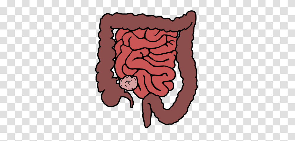 Digestive System Info Graph Piktochart Visual Editor, Painting, Rock, Rug Transparent Png