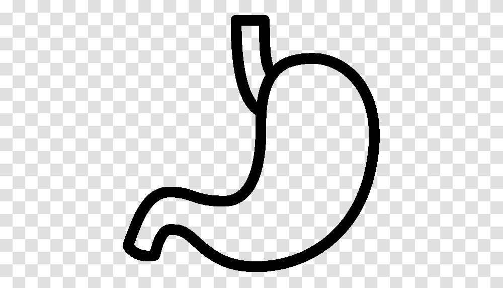 Digestive System, Label, Stencil, Stomach Transparent Png