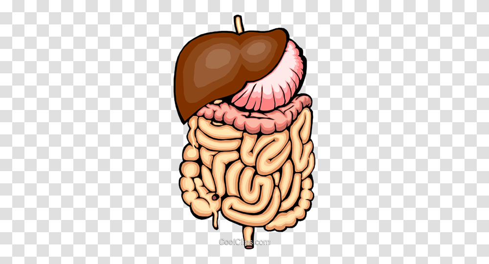 Digestive System Royalty Free Vector Clip Art Illustration, Teeth, Mouth, Birthday Cake, Dessert Transparent Png