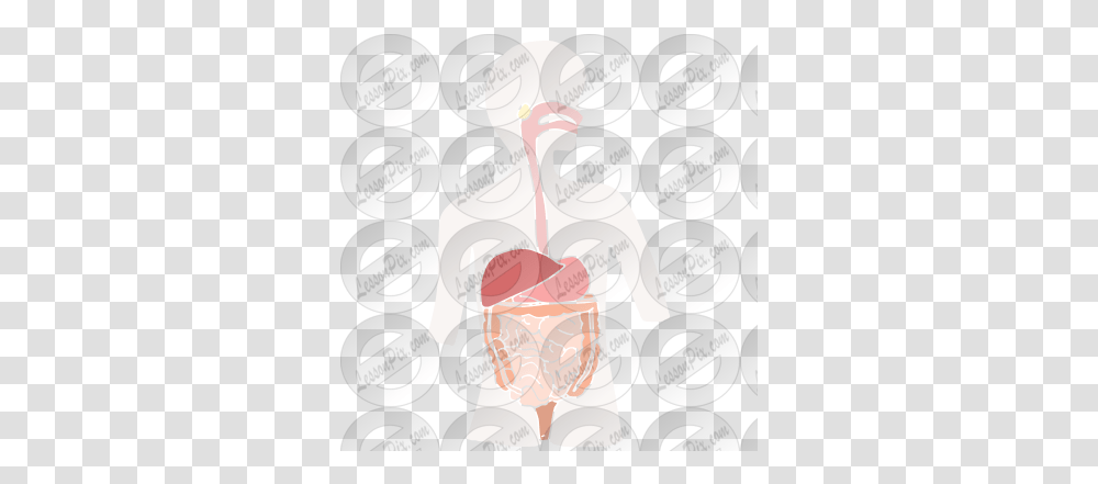 Digestive System Stencil For Classroom Therapy Use Great Heart, Cream, Dessert, Food, Creme Transparent Png