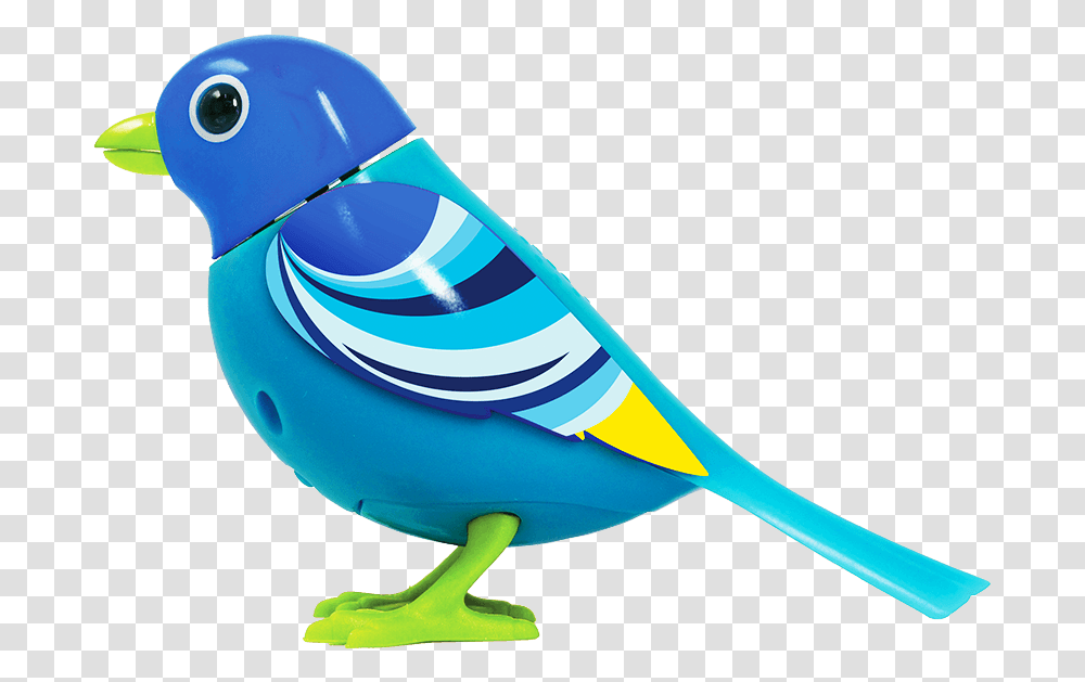 Digi Bird, Bluebird, Animal, Jay, Blue Jay Transparent Png