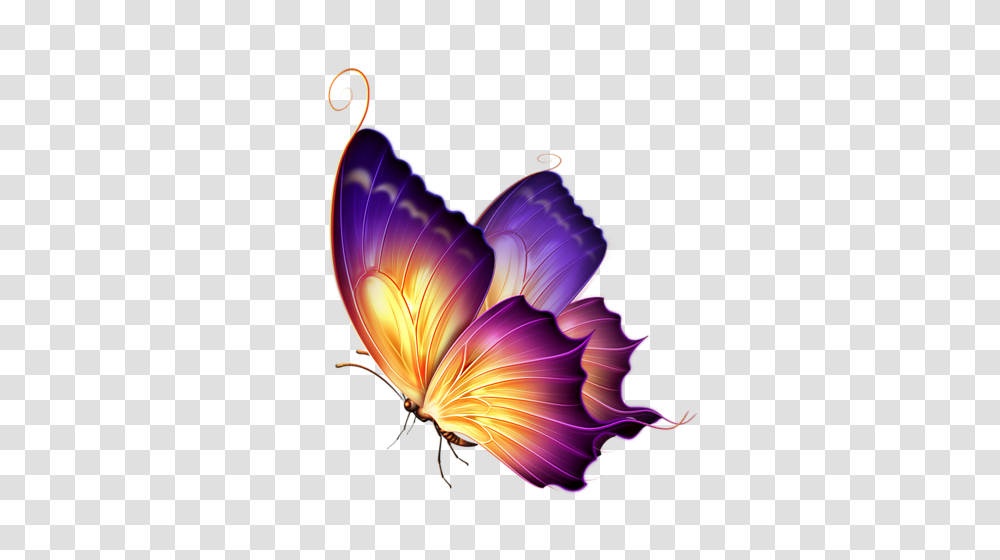 Digital Art Butterfly, Pattern, Ornament, Lamp Transparent Png