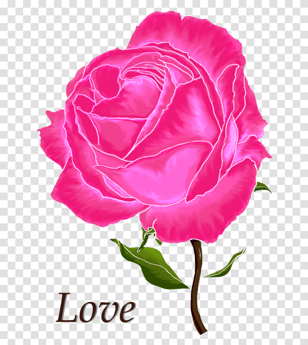 Digital Arts 2017 By Hayley Nunn Digital Rose Images Love Flowers, Plant, Blossom, Petal, Carnation Transparent Png