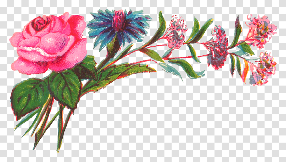 Digital Decorative Flower Corner Flowers, Plant, Petal, Acanthaceae, Leaf Transparent Png