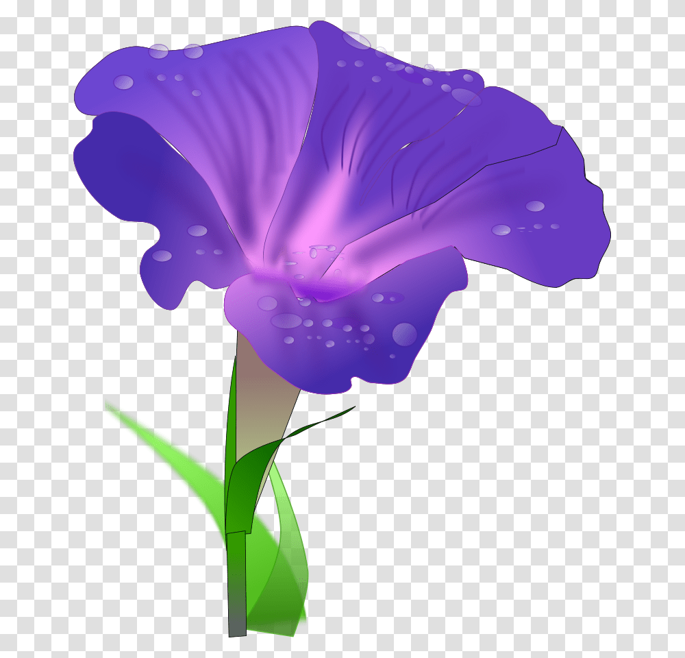 Digital Display With Good Morning Svg Vector File Morning Glory Flower Clipart, Plant, Geranium, Blossom, Iris Transparent Png