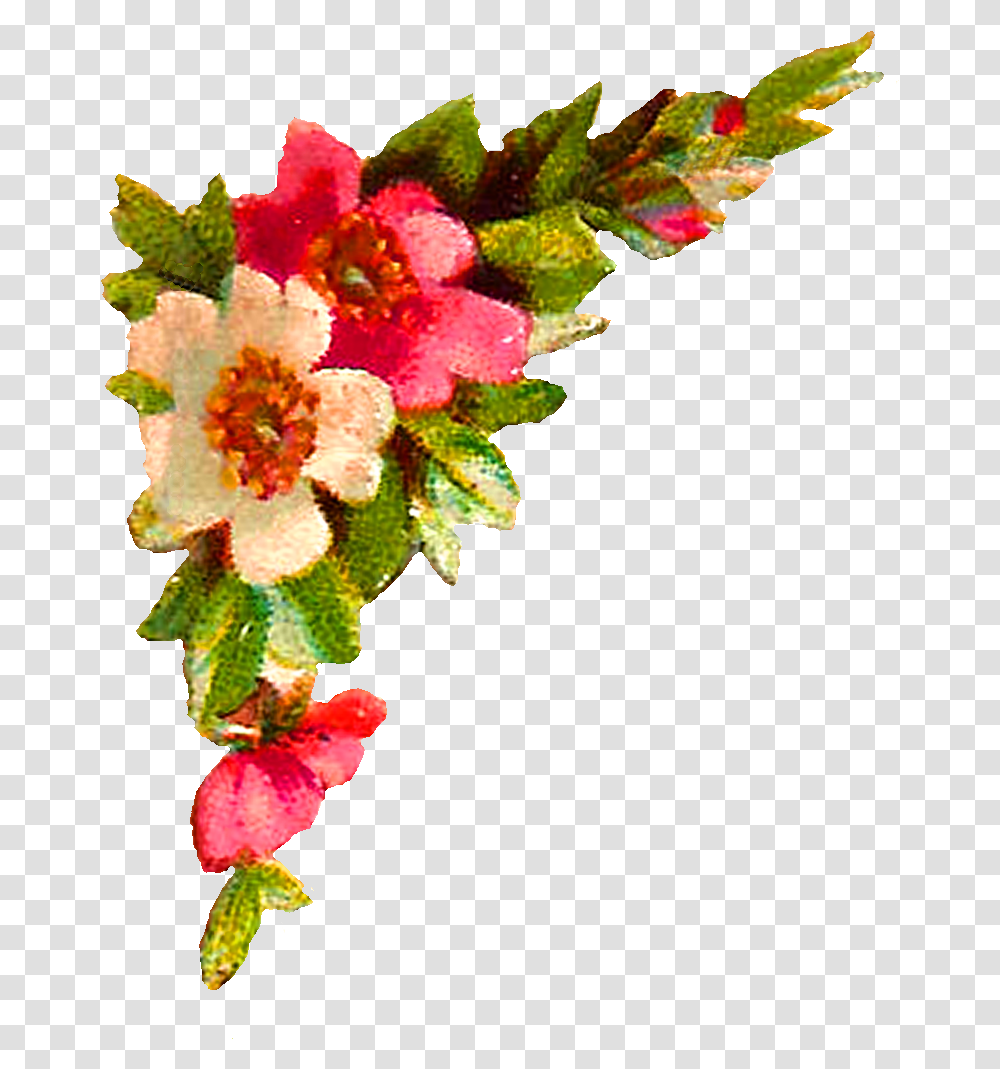Digital Flower Corner Design Roses Clip Flower Corners, Plant, Blossom, Flower Arrangement, Floral Design Transparent Png