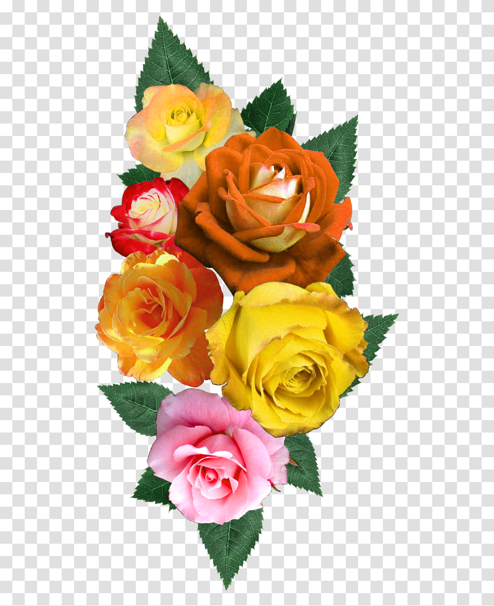 Digital Flower Design Vectorflowervector Artflower Garden Roses, Plant, Blossom, Flower Bouquet, Flower Arrangement Transparent Png