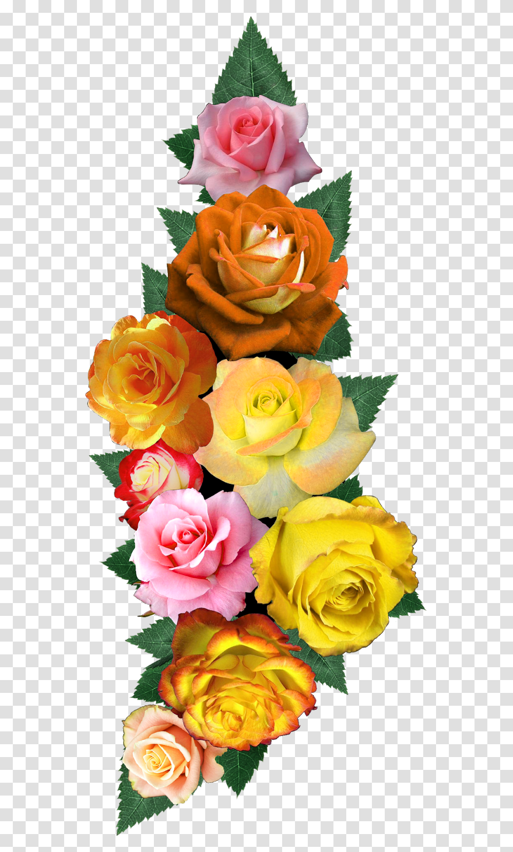 Digital Flower Design Vectorflowervector Artflower Garden Roses, Plant, Blossom, Flower Bouquet, Flower Arrangement Transparent Png