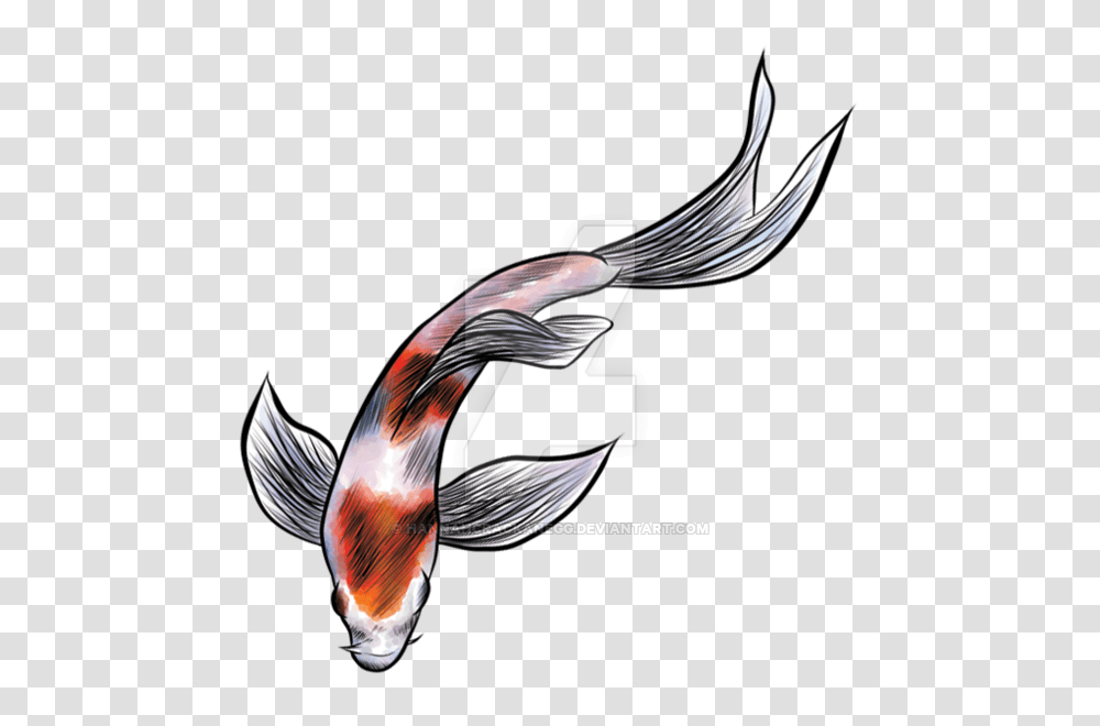 Digital Koi Fish, Bird, Animal, Flying Transparent Png