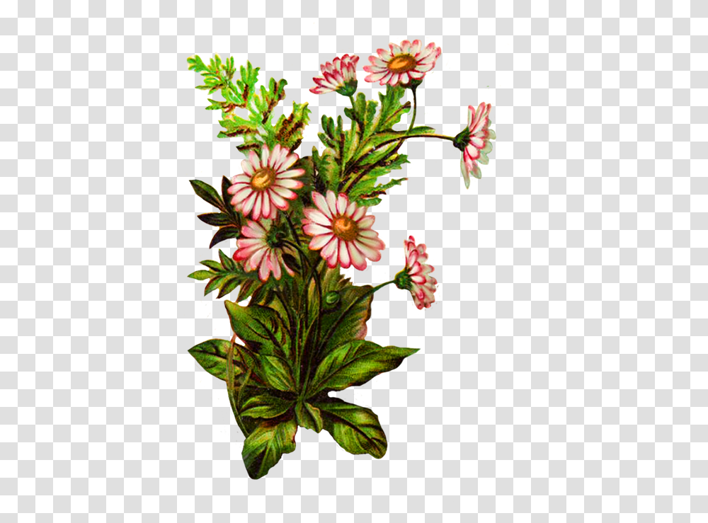 Digital Scrapbooking Flowers Clip Art, Plant, Blossom, Flower Arrangement, Flower Bouquet Transparent Png