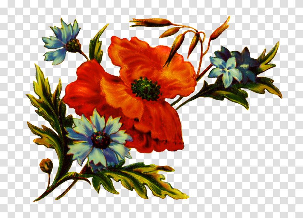 Digital Scrapbooking Flowers Flower Clip Art Decoration, Plant, Blossom, Flower Arrangement, Flower Bouquet Transparent Png
