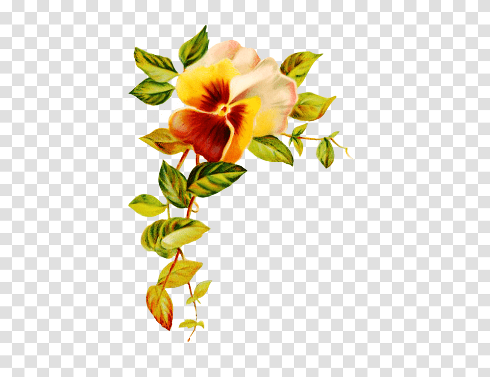 Digital Scrapbooking Flowers, Plant, Blossom Transparent Png