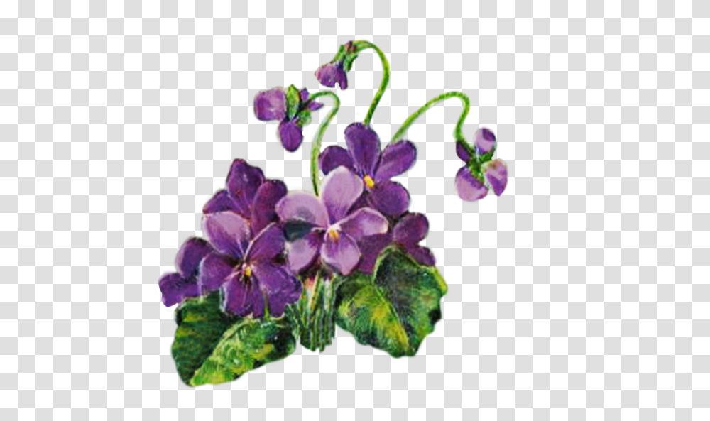 Digital Scrapbooking Flowers Violets Background, Plant, Geranium, Blossom, Purple Transparent Png
