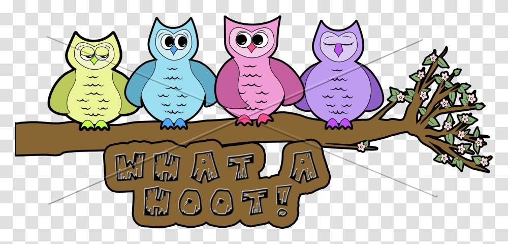Digital Scrapbooking Owl What A Hoot Title Element, Label, Word, Poster Transparent Png