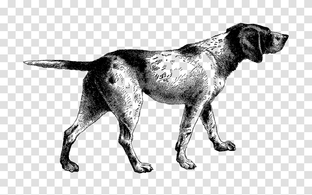 Digital Stamp Design Pointer Dog Digital Vintage Clip Art Animal, Mammal, Wolf, Horse, Silhouette Transparent Png